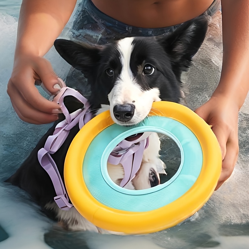 Frisbee Freestyle Disc - Yüzen Köpek Frizbi, Orta Boy Köpekler
