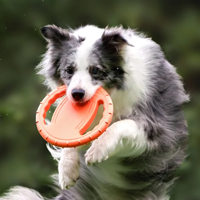 Frisbee Freestyle Disc - Dayanıklı Köpek Uçan Disk Oyuncak Evcil