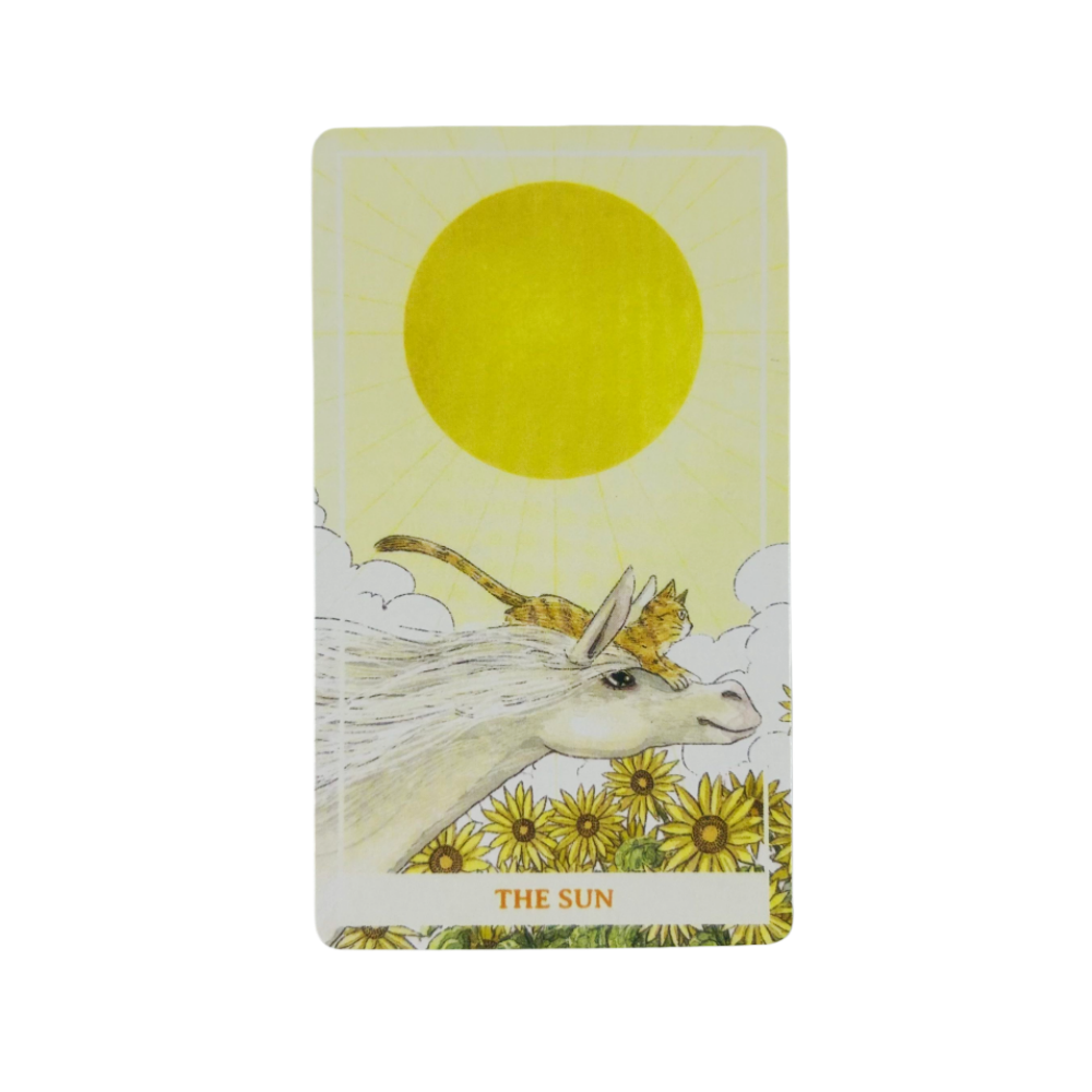 Güneşli Turuncu Kedi Tarot Kar - Party Games Best incelemesi ve fiyatı