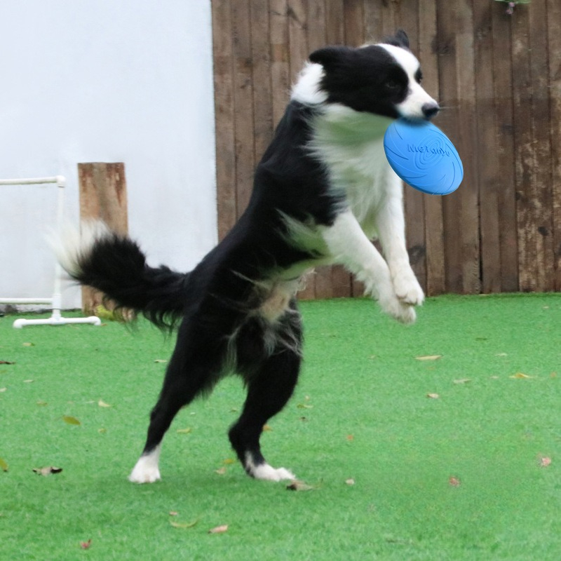 Köpek Frizbi, Sınır Bölgesi Ha - Frisbee Freestyle Disc incelemesi ve fiyatı