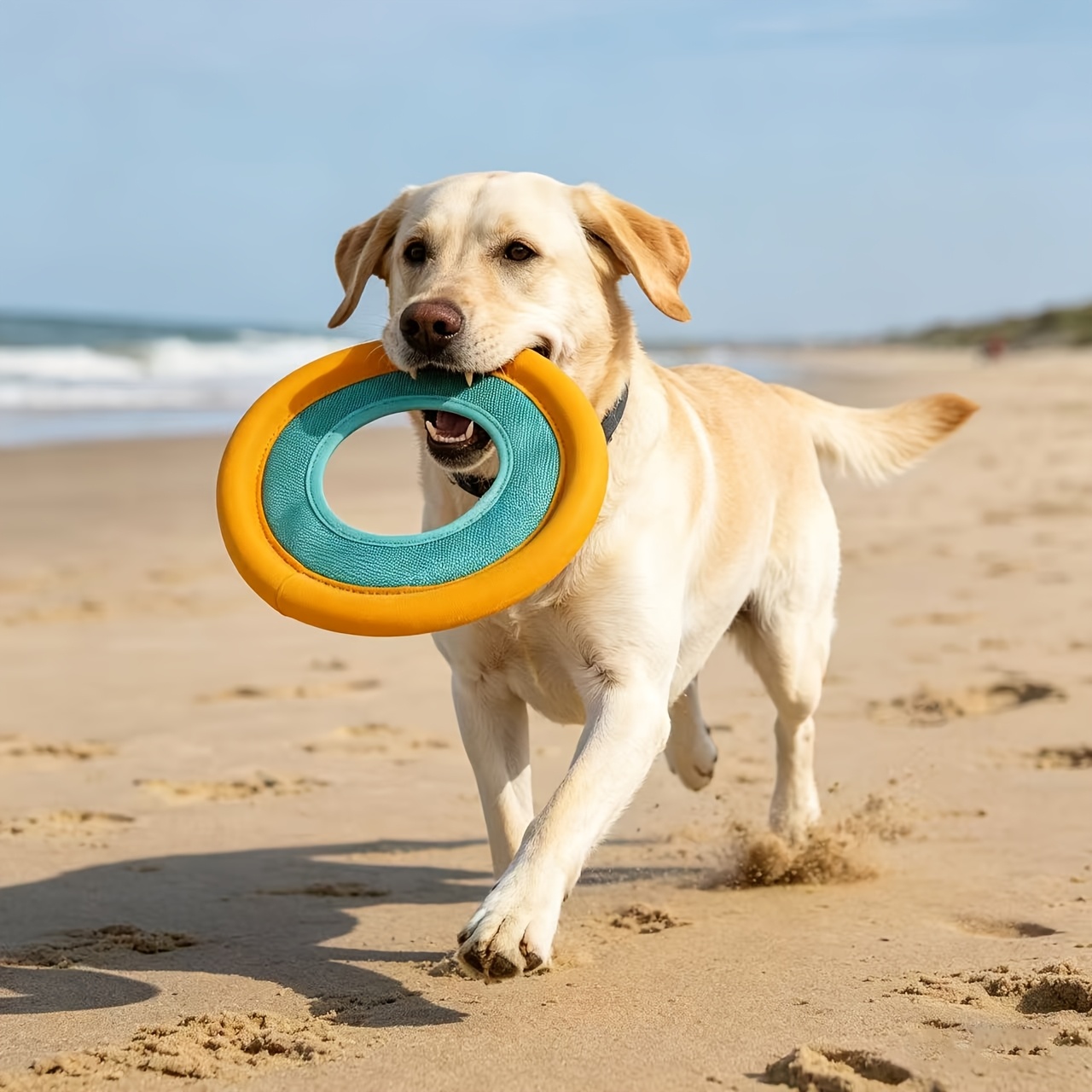 Yüzen Köpek Frizbi, Orta Boy K - Frisbee Freestyle Disc incelemesi ve fiyatı