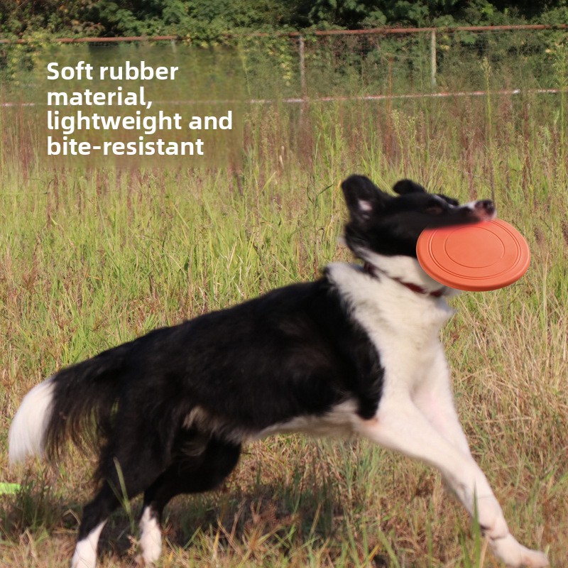 Yumuşak Uçan Köpek Oyuncakları - Frisbee Freestyle Disc incelemesi ve fiyatı