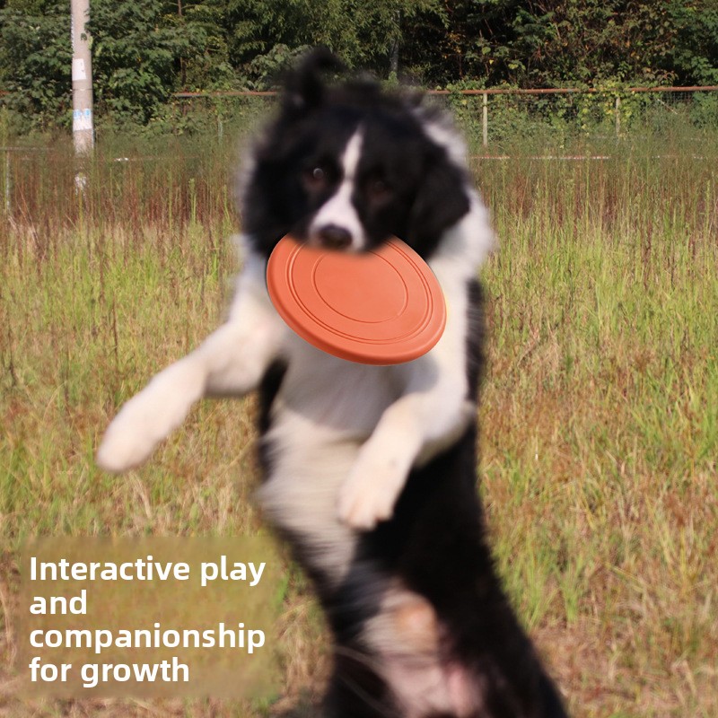 Yumuşak Uçan Köpek Oyuncakları - Frisbee Freestyle Disc incelemesi ve fiyatı